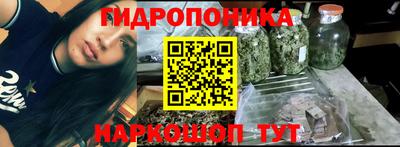 бошки Лесосибирск