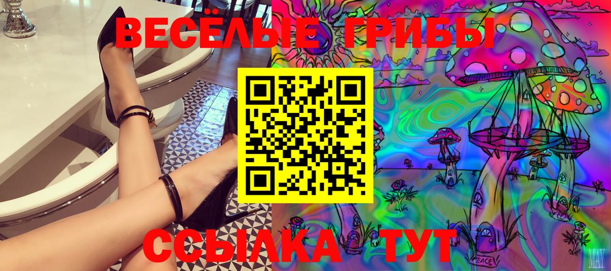 Псилоцибиновые грибы прущие грибы  Псилоцибиновые грибы GOLDEN TEACHER  Керчь  Вход с VPN 