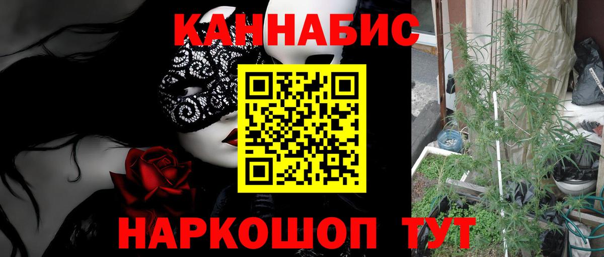 Бошки Шишки Bruce Banner  Марихуана марихуана  Вход с VPN  Конопля семена  Керчь  Марихуана LSD WEED 